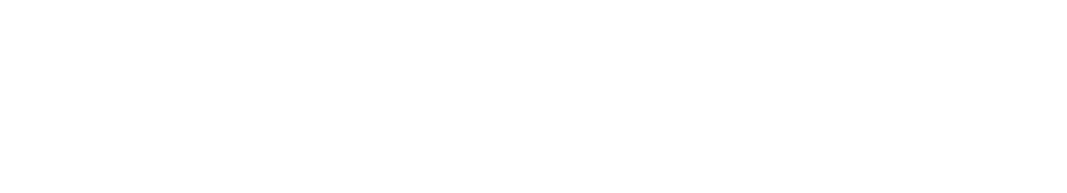 Wired Store - Single Vendor ecommerce